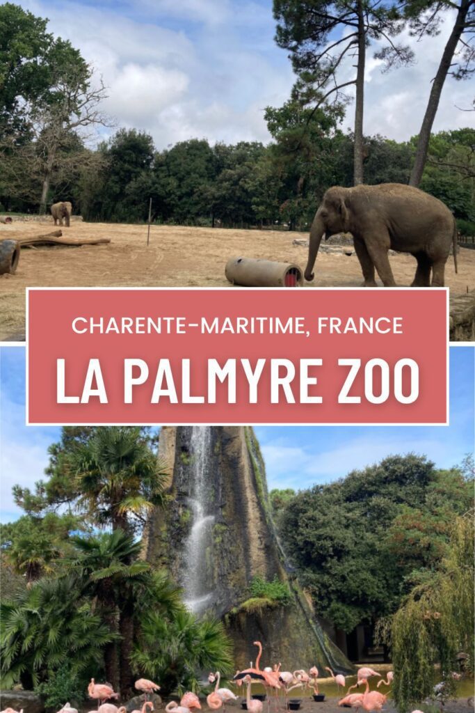 La Palmyre Zoo offers a unique blend of education, conservation, and fun. 